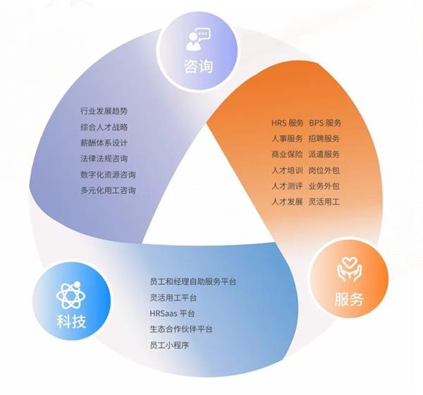 科技信息咨询服务 赋能创新与决策的关键力量
